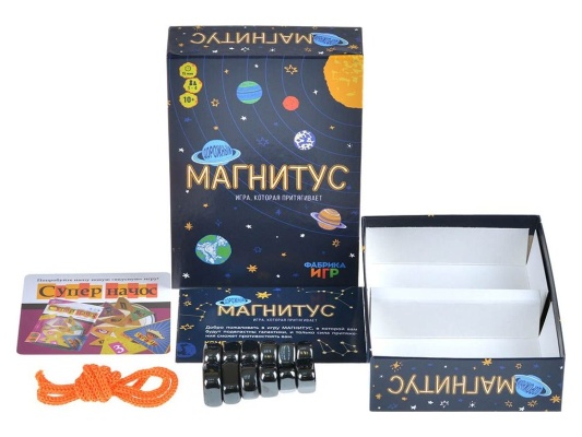 Настольная игра Магнитус Дорожный