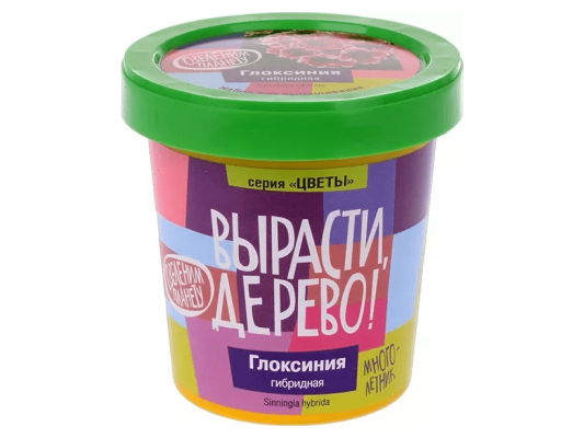 Вырасти дерево: Глоксиния гибридная