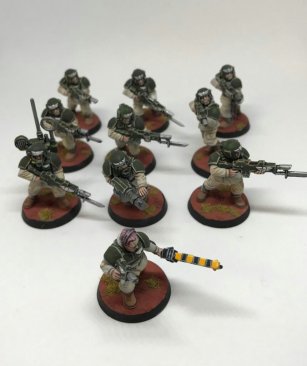 Warhammer 40k Astra Militarum Cadian Shock Troops x10 (99120105039) (Painted)