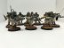 Warhammer 40k Astra Militarum Cadian Shock Troops x10 (99120105039) (Painted)