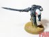 Warhammer 40k Space Marine Black Templars Empreror&#039;s Champion (Pro-Painted)