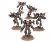 ИГНОР Chaos Space Marines Raptors