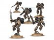 ИГНОР Chaos Space Marines Raptors