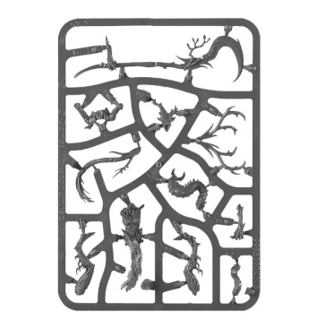 Branchwych