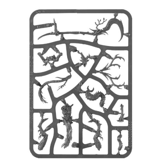 Branchwych
