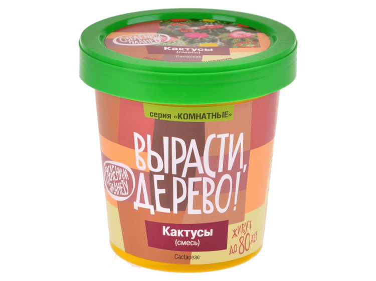 Вырасти дерево: Кактусы