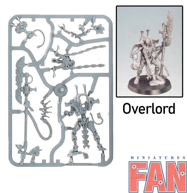 Indomitus Necron Overlord