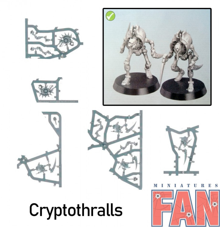 Indomitus Cryptothralls x2