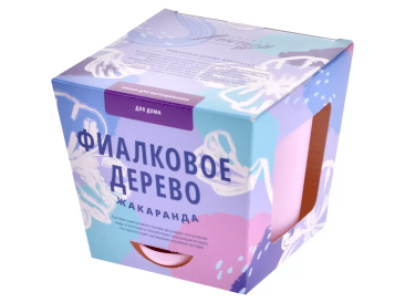 Тысяча листьев: Фиалковое дерево (жакаранда)