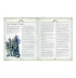 Warhammer Age of Sigmar: Spire of Dawn
