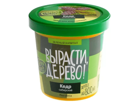 Вырасти дерево: Кедр сибирский