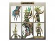 Sylvaneth: Revenant Wargrove