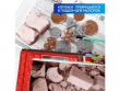 Остров сокровищ: раскопай и играй