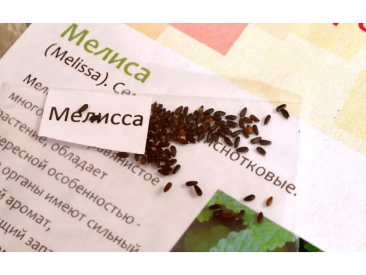 Вырасти дерево: Мелисса
