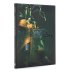 Psychic Awakening: War of the Spider Collector&#039;s Edition