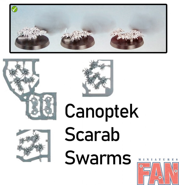 Indomitus Canoptek Scarab Swarms x3