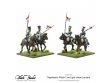 302212001-Polish-Line-Light-Horse-Lancers-04.jpg