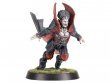Vampire Team: Drakfang Thirsters (Blood Bowl)
