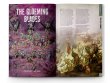 White Dwarf 512 (предзаказ 2025)