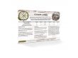 60220201009_S2DWarscrollCards03.jpg