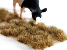 Highland Tuft (Высокогорная трава)