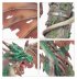 Warpfire Dragon (предзаказ 2024, GW Direct)