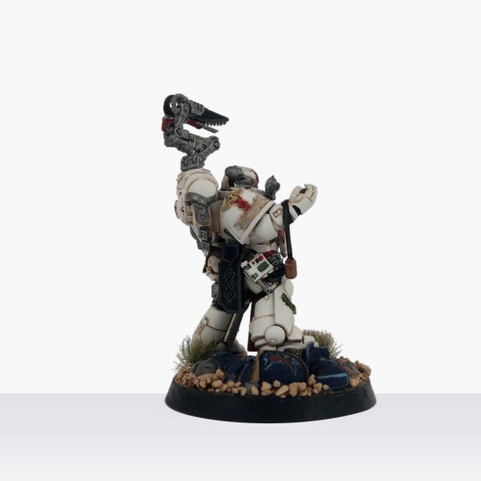 Warhammer 40000 Black Templars Primaris Apothecary (Pro-Painted)