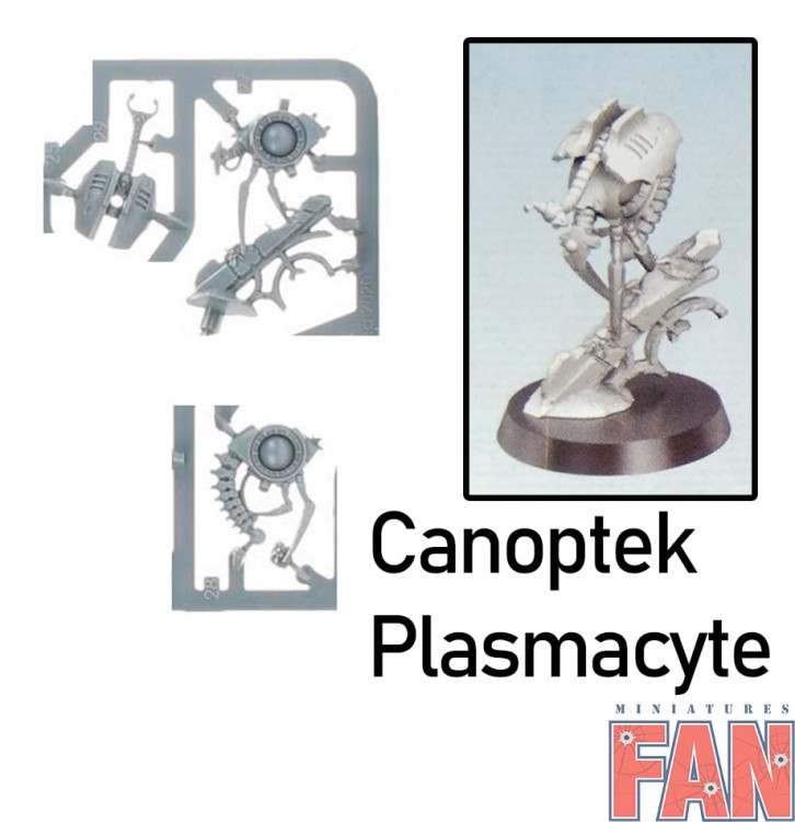 Indomitus Canoptek Plasmacyte