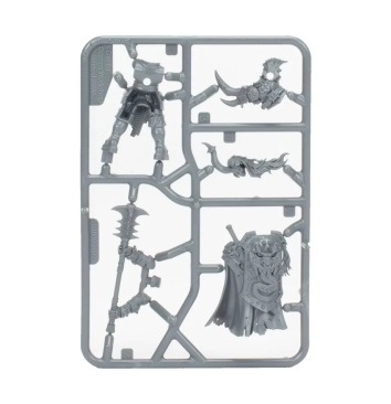 Holga Clovenhorn (Age of Sigmar)