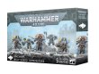 Wolf Guard Terminators (предзаказ 2025)