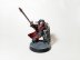 Warhammer 30k / 40k Forgeworld Space Marine Dark Angels Legion Praetor (Pro-Painted)