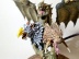 Warhammer Age of Sigmar Warcry Chimera (Pro-Painted)
