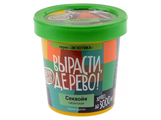 Вырасти дерево: Секвойя