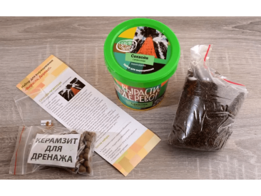 Вырасти дерево: Секвойя