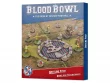 Snotling Pitch and Dugouts (предзаказ 2022, Blood Bowl)