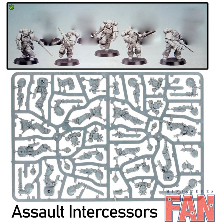 Indomitus Assault Intercessors x5