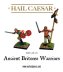 Ancient British Warriors