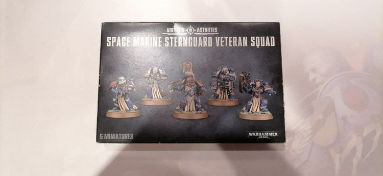 Space Marine Sternguard Veteran Squad (Уценка)