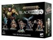 The Blacktalons (предзаказ 2023, Age of Sigmar Stormcast Eternals)