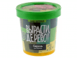Вырасти дерево: Сирень венгерская