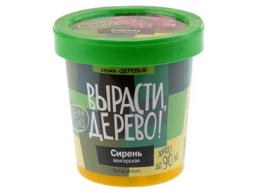 Вырасти дерево: Сирень венгерская