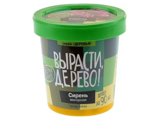 Вырасти дерево: Сирень венгерская