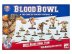 Blood Bowl: Ogre Team - The Fire Mountain Gut Busters