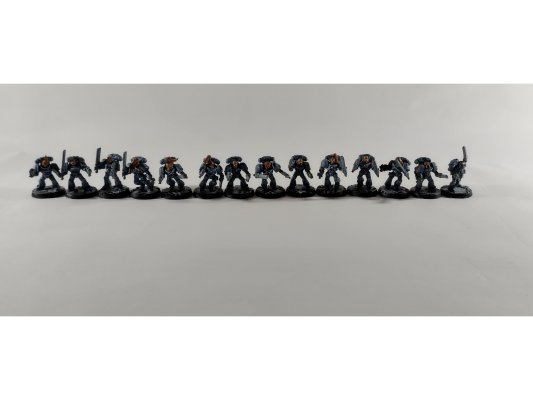 Space Wolves Blood Claws and Lukas the Trickster x15 (б/у, Painted)