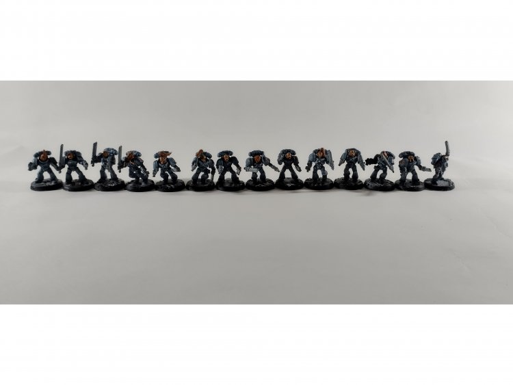 Space Wolves Blood Claws and Lukas the Trickster x15 (б/у, Painted)