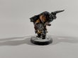 Space Wolves Blood Claws and Lukas the Trickster x15 (б/у, Painted)