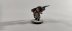 Space Wolves Blood Claws and Lukas the Trickster x15 (б/у, Painted)