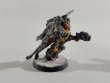 Space Wolves Blood Claws and Lukas the Trickster x15 (б/у, Painted)