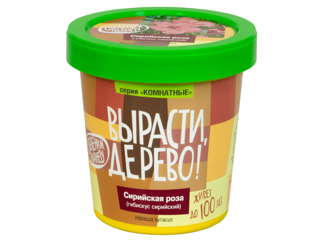 Вырасти дерево: Сирийская роза (гибискус сирийский)