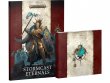 Order Battletome: Stormcast Eternals – Gamer's Edition (предзаказ 2024, GW Direct)